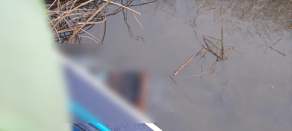 В Мозырском районе рыбаки обнаружили тело мужчины
